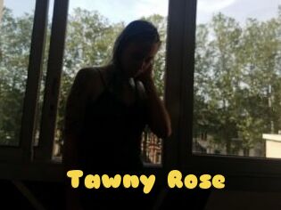 Tawny_Rose