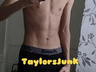 TaylorsJunk