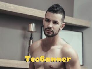 TeoBanner