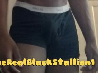 TheRealBlackStallion1