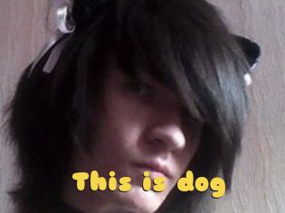 This_is_dog