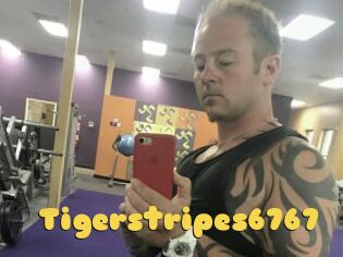 Tigerstripes6767