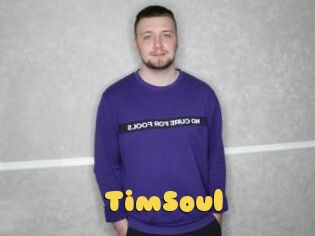 TimSoul