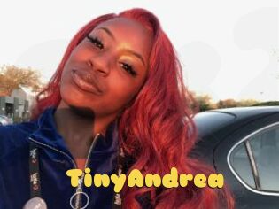 TinyAndrea