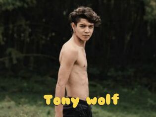 Tony_wolf