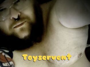 Toyservent