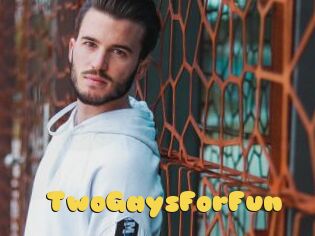 TwoGaysForFun