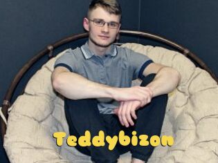 Teddybizon