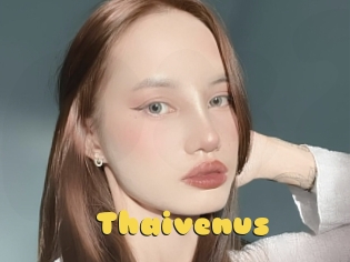 Thaivenus