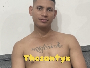 Thesantyx