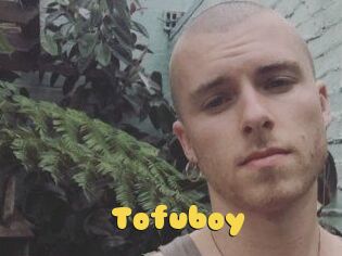 Tofu_boy