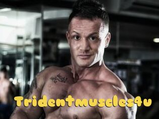 Tridentmuscles4u
