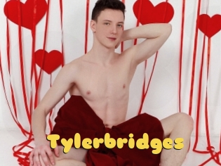 Tylerbridges