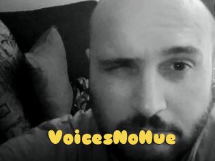 VoicesNoHue