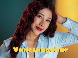 Vanesaaguilar