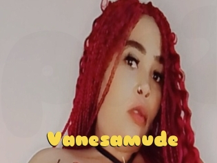 Vanesamude