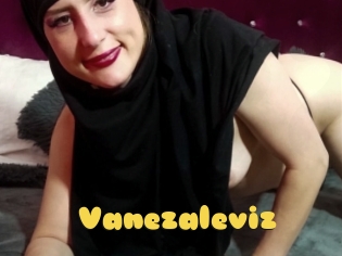 Vanezaleviz