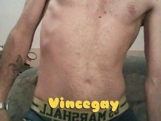 Vincegay