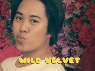 WILD_VELVET