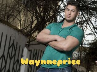 Waynneprice