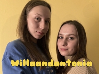 Willaandantonia