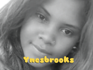 Ynesbrooks