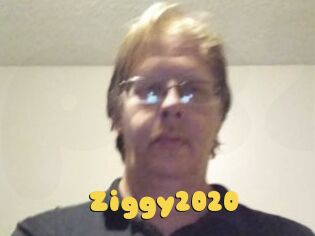 Ziggy2020