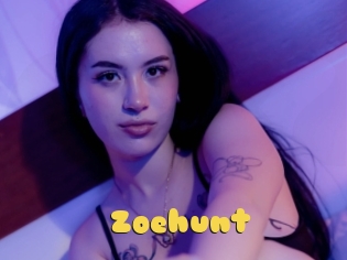 Zoehunt